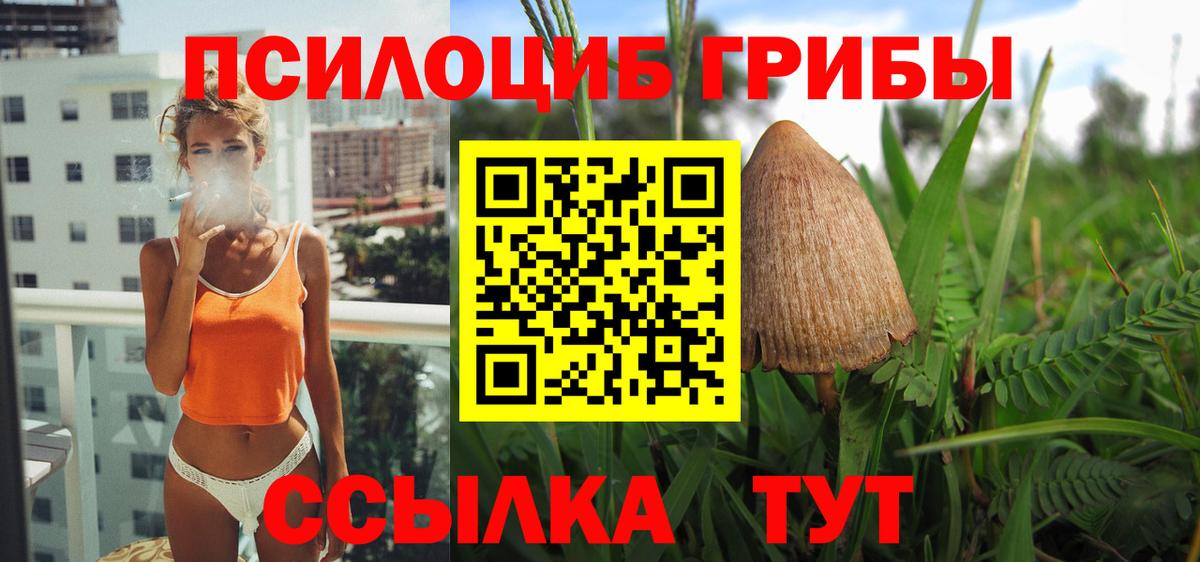 Павлово  Псилоцибиновые грибы MAGIC MUSHROOMS  Вход с VPN  Псилоцибиновые грибы Psilocybine cubensis 